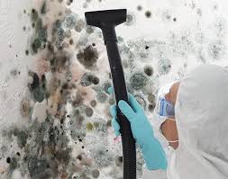 Best Water Damage & Mold Remediation  in Vandenberg Village, CA